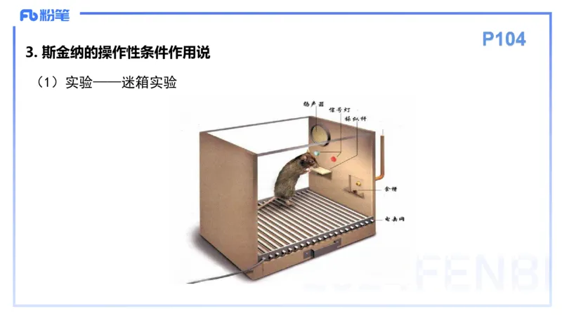 理论精讲11-教育教学知识与能力-李度_4-教培资料-26年最新资料-同步更新_小学教资_022025上FB小学系统班_0225上-教育知识与能力_2.理论精讲_讲义