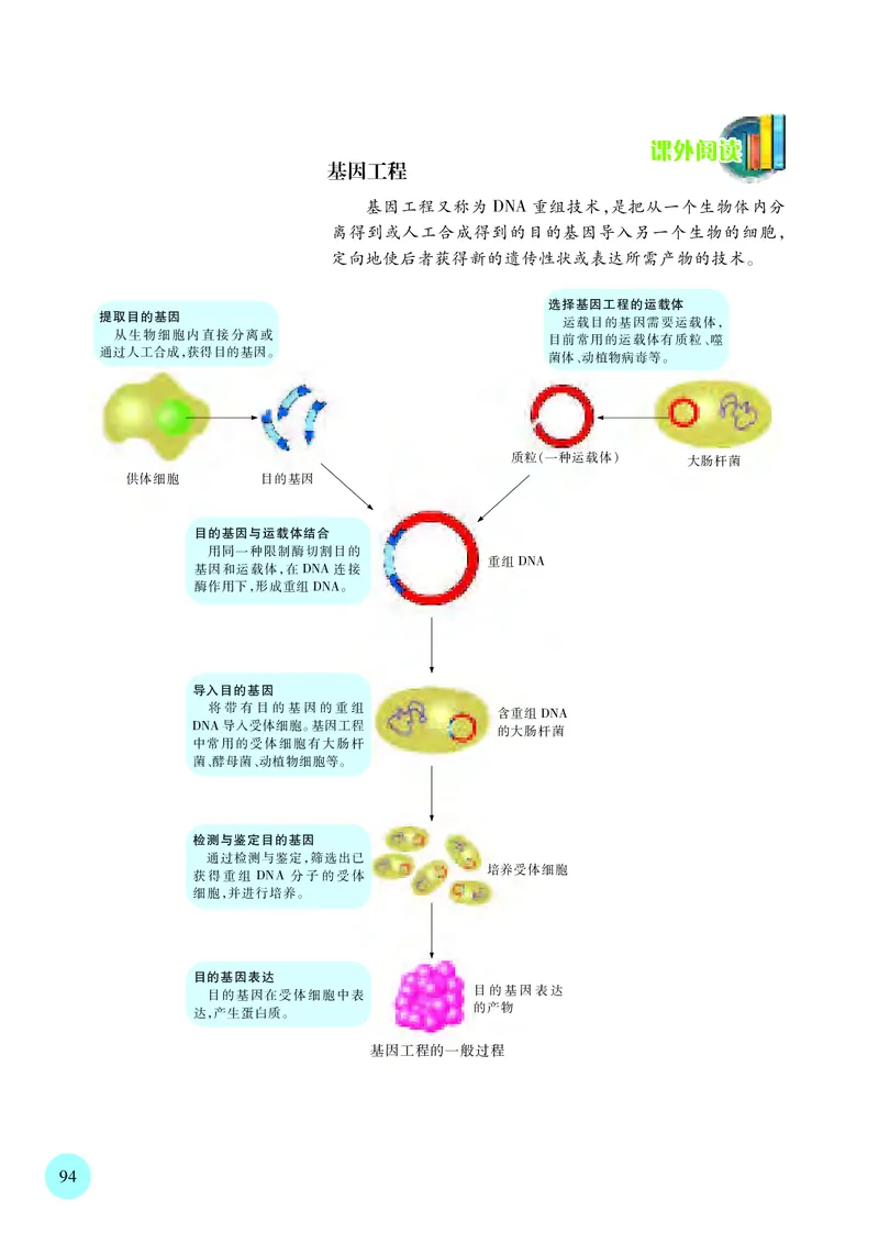 苏教版生物必修2高清教材_4-教培资料-26年最新资料-同步更新_初中高中教资_03科三专项（进去保存报考的学科即可）_02科三专项（笔记真题思维导图教学设计版本二）