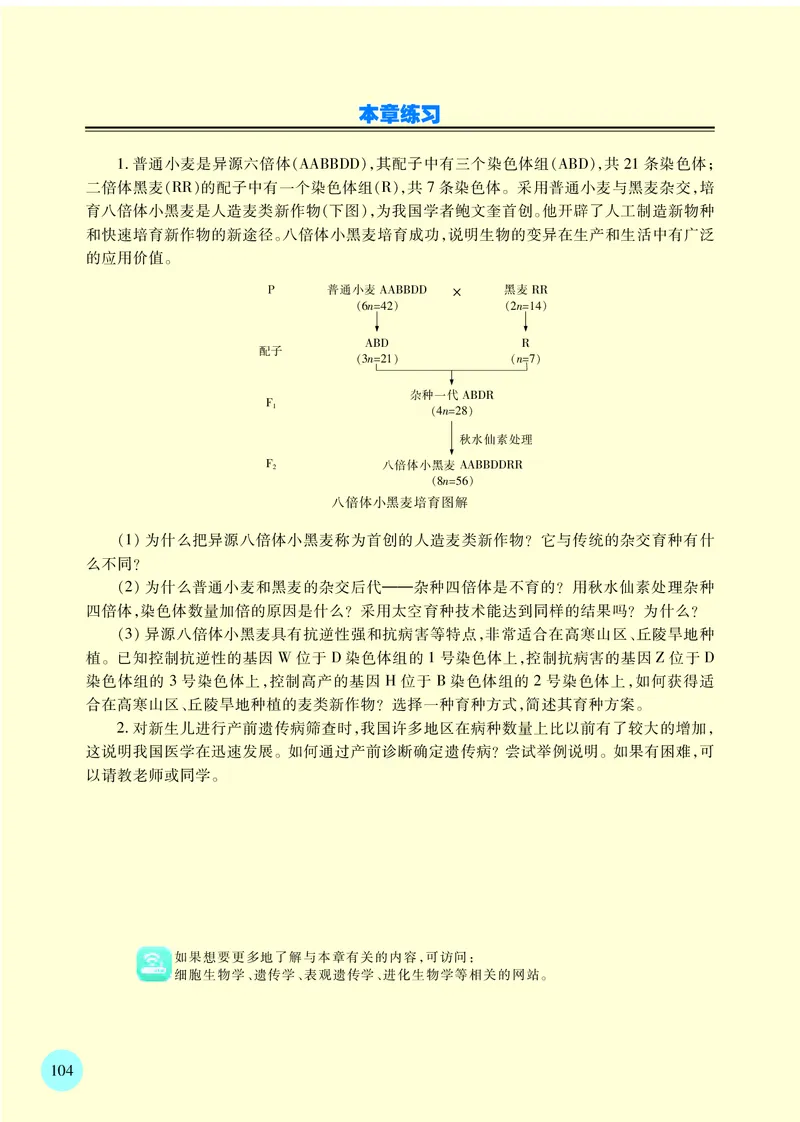 苏教版生物必修2高清教材_4-教培资料-26年最新资料-同步更新_初中高中教资_03科三专项（进去保存报考的学科即可）_02科三专项（笔记真题思维导图教学设计版本二）