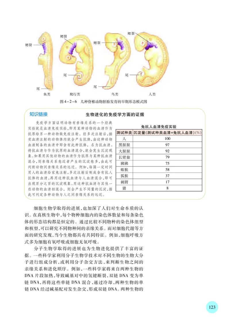 苏教版生物必修2高清教材_4-教培资料-26年最新资料-同步更新_初中高中教资_03科三专项（进去保存报考的学科即可）_02科三专项（笔记真题思维导图教学设计版本二）