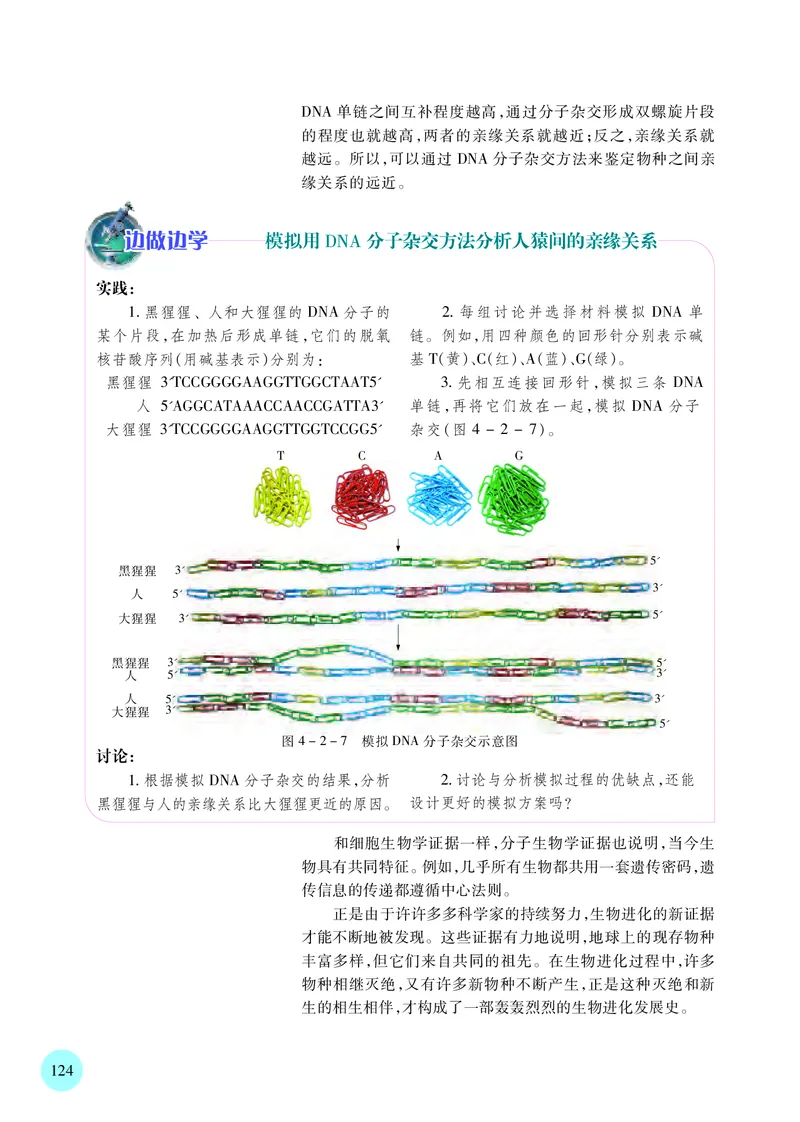 苏教版生物必修2高清教材_4-教培资料-26年最新资料-同步更新_初中高中教资_03科三专项（进去保存报考的学科即可）_02科三专项（笔记真题思维导图教学设计版本二）