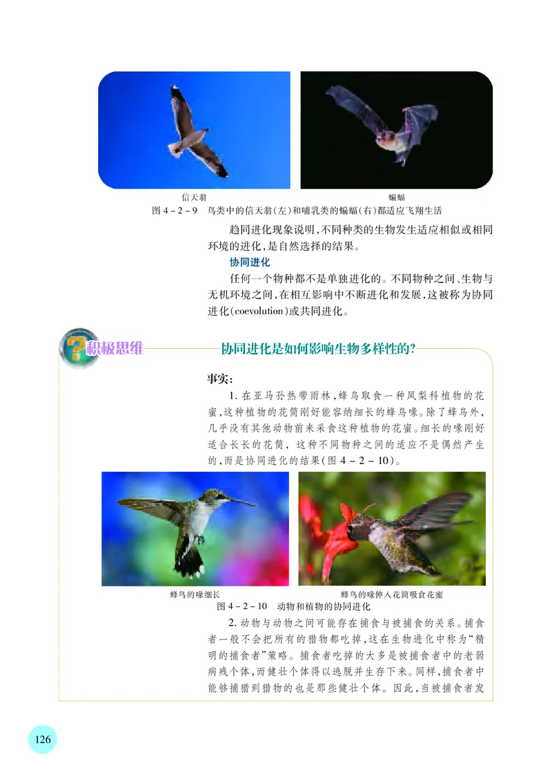苏教版生物必修2高清教材_4-教培资料-26年最新资料-同步更新_初中高中教资_03科三专项（进去保存报考的学科即可）_02科三专项（笔记真题思维导图教学设计版本二）