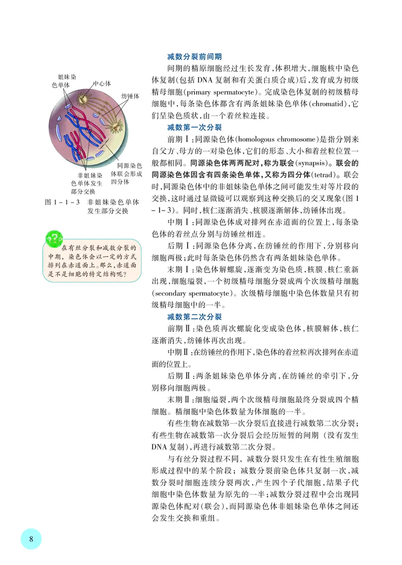 苏教版生物必修2高清教材_4-教培资料-26年最新资料-同步更新_初中高中教资_03科三专项（进去保存报考的学科即可）_02科三专项（笔记真题思维导图教学设计版本二）