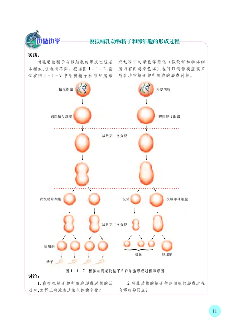 苏教版生物必修2高清教材_4-教培资料-26年最新资料-同步更新_初中高中教资_03科三专项（进去保存报考的学科即可）_02科三专项（笔记真题思维导图教学设计版本二）