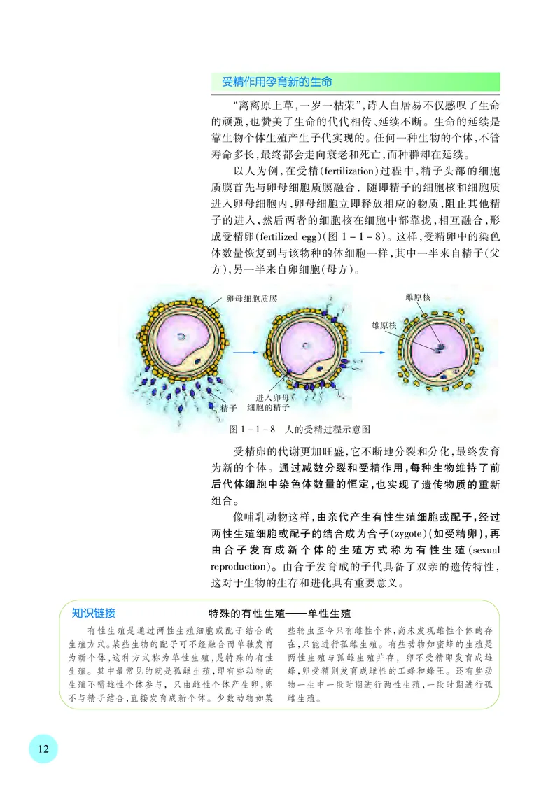 苏教版生物必修2高清教材_4-教培资料-26年最新资料-同步更新_初中高中教资_03科三专项（进去保存报考的学科即可）_02科三专项（笔记真题思维导图教学设计版本二）
