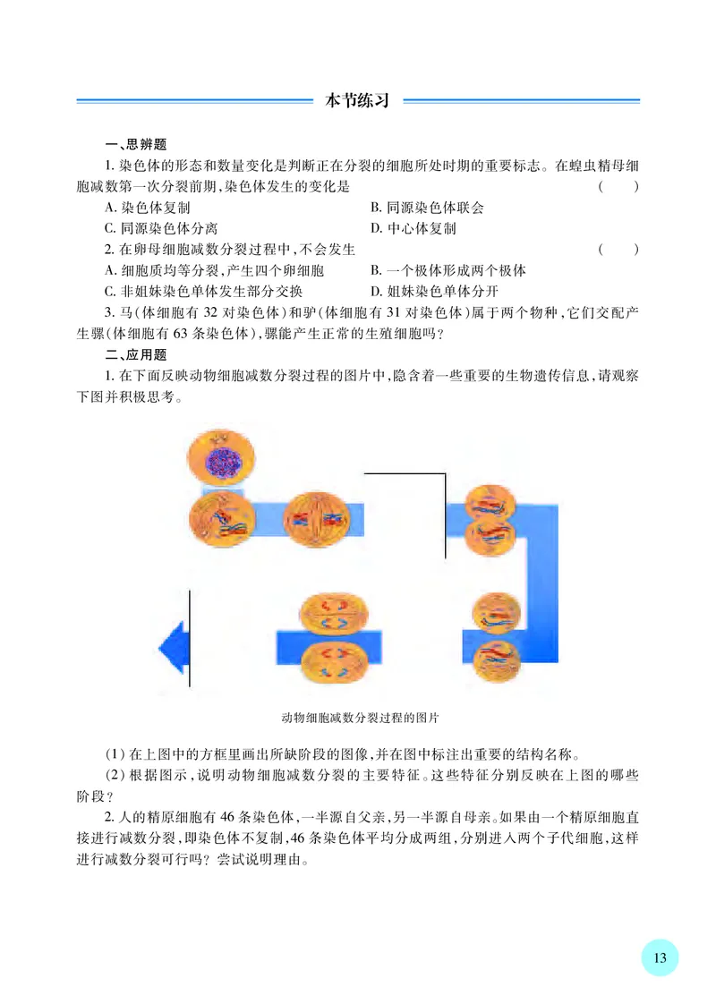 苏教版生物必修2高清教材_4-教培资料-26年最新资料-同步更新_初中高中教资_03科三专项（进去保存报考的学科即可）_02科三专项（笔记真题思维导图教学设计版本二）