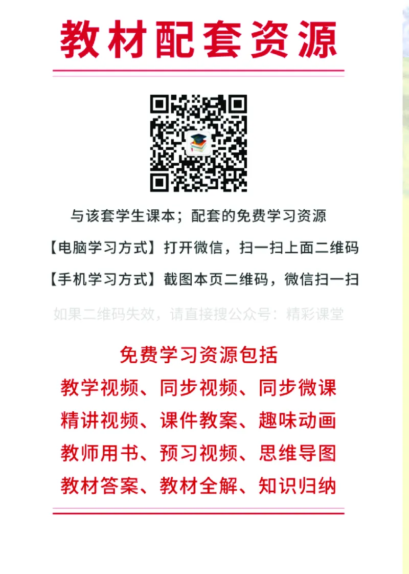 苏教版生物必修2高清教材_4-教培资料-26年最新资料-同步更新_初中高中教资_03科三专项（进去保存报考的学科即可）_02科三专项（笔记真题思维导图教学设计版本二）