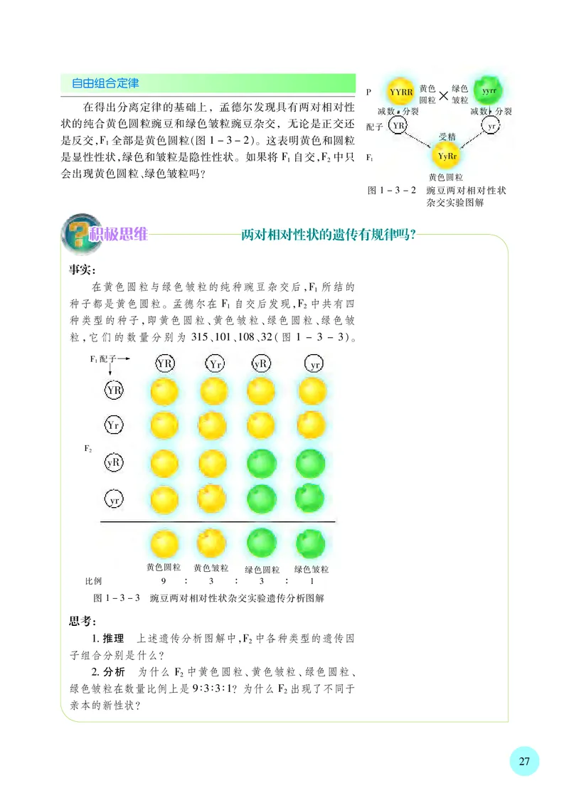 苏教版生物必修2高清教材_4-教培资料-26年最新资料-同步更新_初中高中教资_03科三专项（进去保存报考的学科即可）_02科三专项（笔记真题思维导图教学设计版本二）