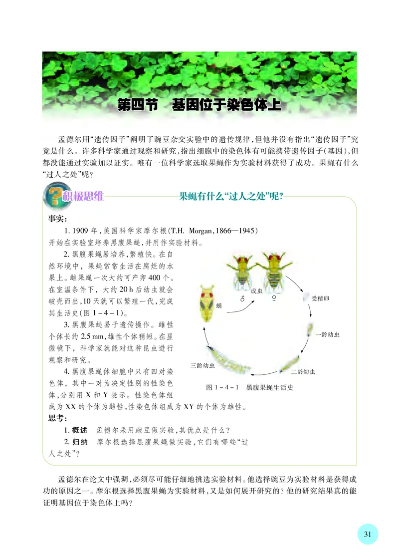 苏教版生物必修2高清教材_4-教培资料-26年最新资料-同步更新_初中高中教资_03科三专项（进去保存报考的学科即可）_02科三专项（笔记真题思维导图教学设计版本二）
