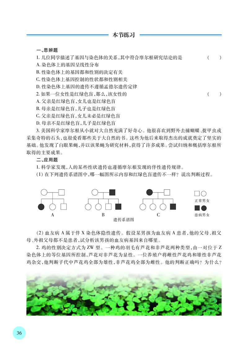 苏教版生物必修2高清教材_4-教培资料-26年最新资料-同步更新_初中高中教资_03科三专项（进去保存报考的学科即可）_02科三专项（笔记真题思维导图教学设计版本二）