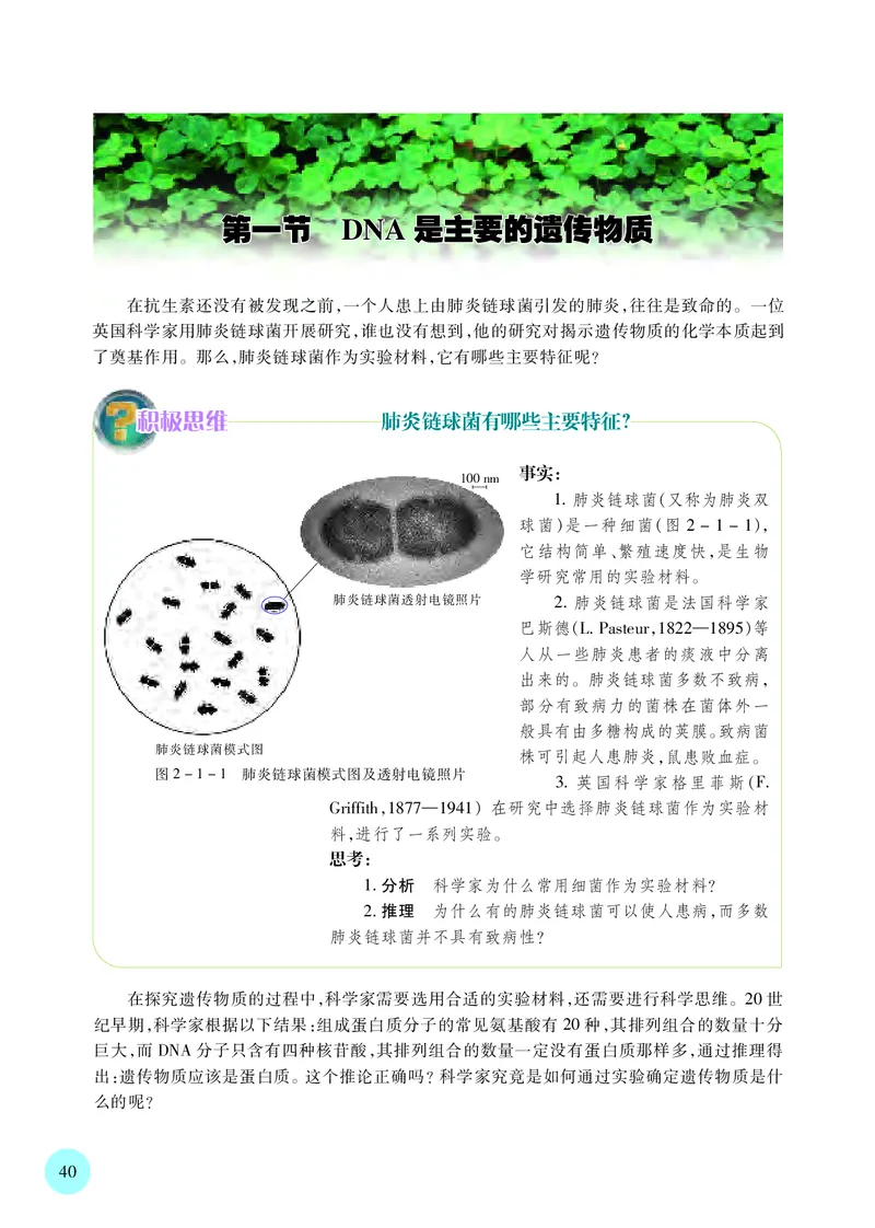 苏教版生物必修2高清教材_4-教培资料-26年最新资料-同步更新_初中高中教资_03科三专项（进去保存报考的学科即可）_02科三专项（笔记真题思维导图教学设计版本二）