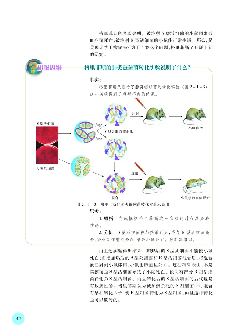 苏教版生物必修2高清教材_4-教培资料-26年最新资料-同步更新_初中高中教资_03科三专项（进去保存报考的学科即可）_02科三专项（笔记真题思维导图教学设计版本二）