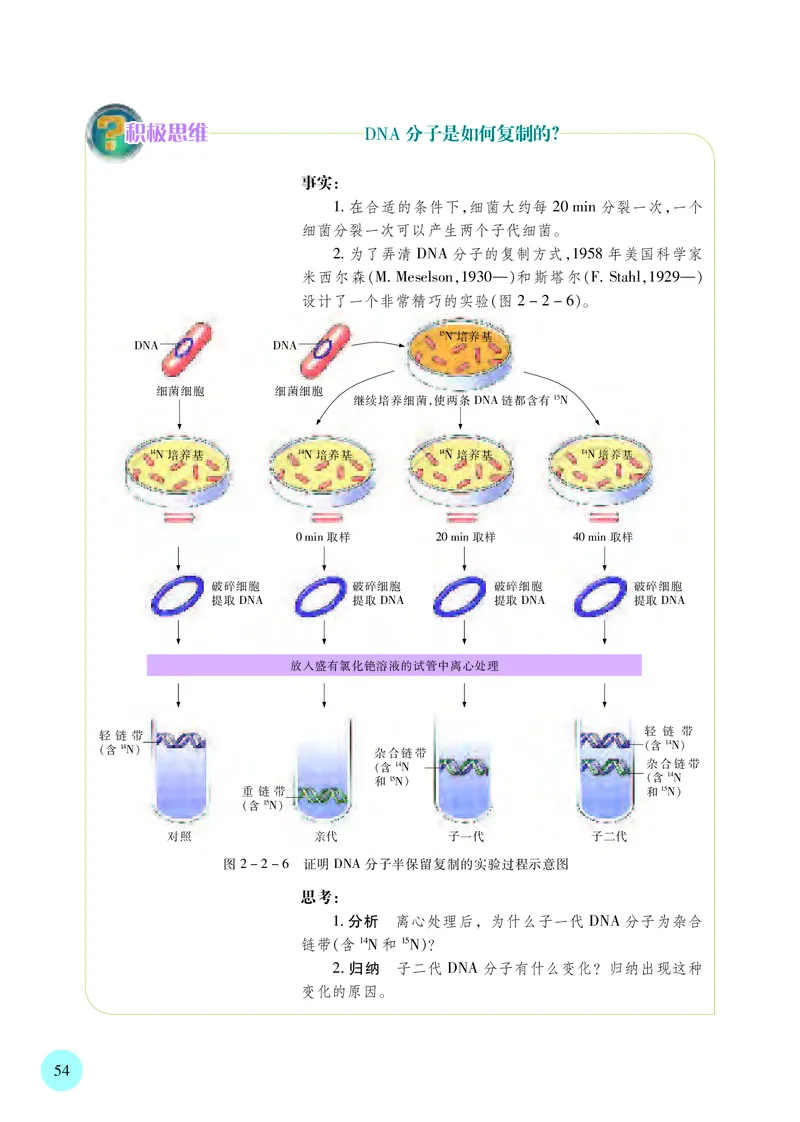 苏教版生物必修2高清教材_4-教培资料-26年最新资料-同步更新_初中高中教资_03科三专项（进去保存报考的学科即可）_02科三专项（笔记真题思维导图教学设计版本二）