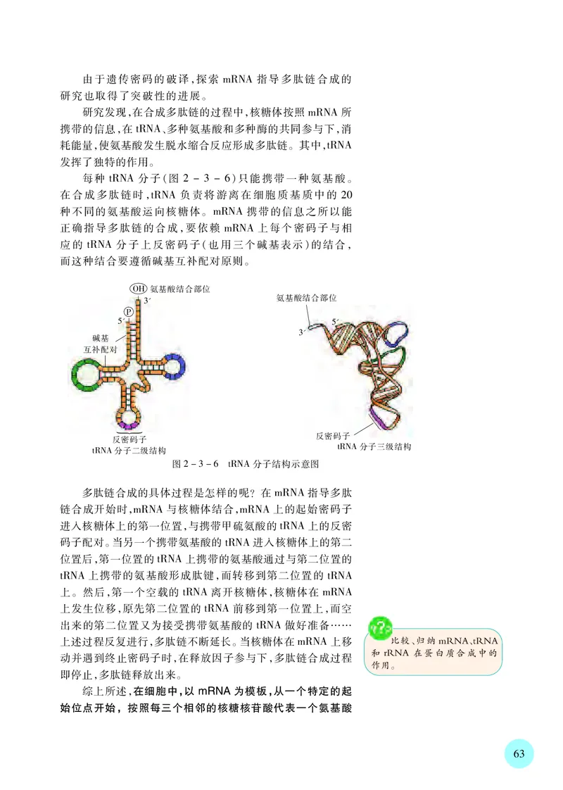 苏教版生物必修2高清教材_4-教培资料-26年最新资料-同步更新_初中高中教资_03科三专项（进去保存报考的学科即可）_02科三专项（笔记真题思维导图教学设计版本二）