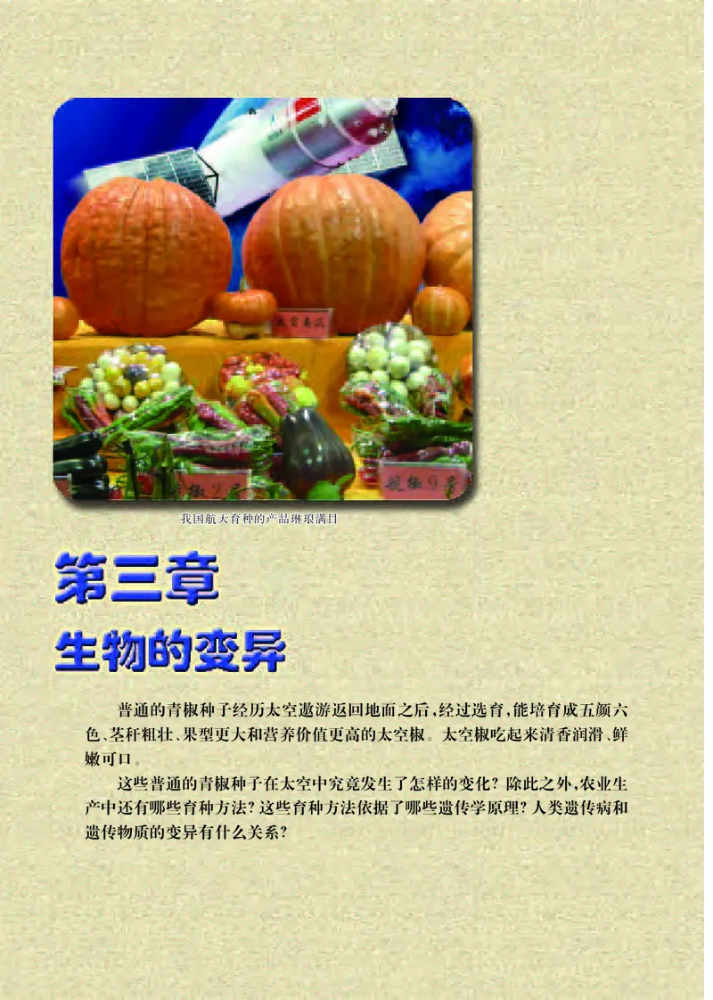 苏教版生物必修2高清教材_4-教培资料-26年最新资料-同步更新_初中高中教资_03科三专项（进去保存报考的学科即可）_02科三专项（笔记真题思维导图教学设计版本二）