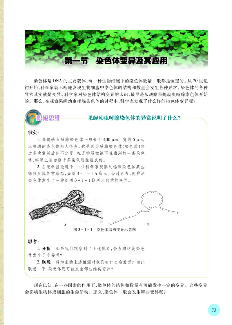 苏教版生物必修2高清教材_4-教培资料-26年最新资料-同步更新_初中高中教资_03科三专项（进去保存报考的学科即可）_02科三专项（笔记真题思维导图教学设计版本二）