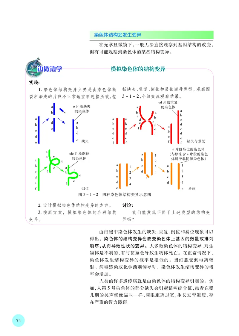 苏教版生物必修2高清教材_4-教培资料-26年最新资料-同步更新_初中高中教资_03科三专项（进去保存报考的学科即可）_02科三专项（笔记真题思维导图教学设计版本二）