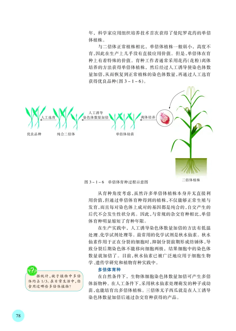 苏教版生物必修2高清教材_4-教培资料-26年最新资料-同步更新_初中高中教资_03科三专项（进去保存报考的学科即可）_02科三专项（笔记真题思维导图教学设计版本二）
