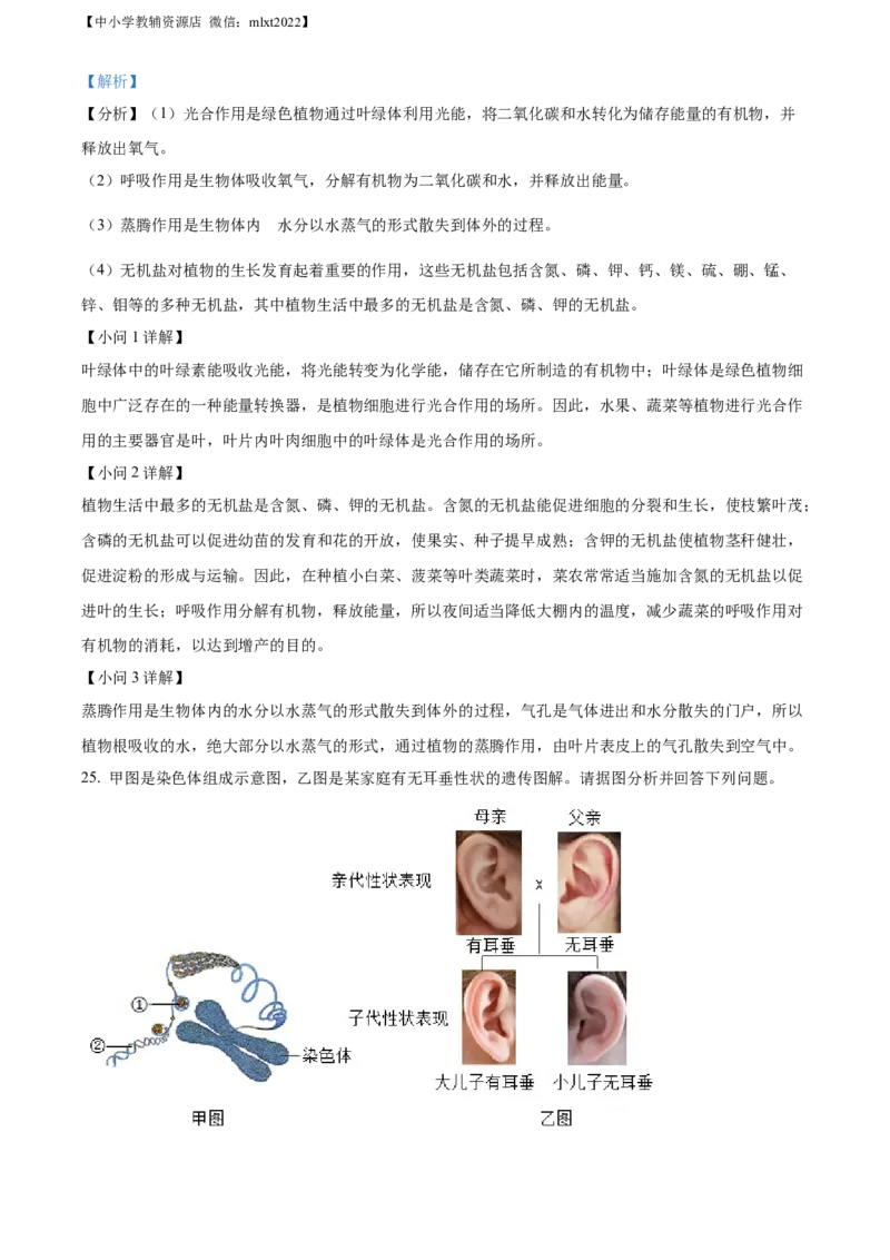 精品解析：2022年辽宁省沈阳市生物中考真题（解析版）_中考真题_8.生物中考真题2015-2024年_2022年全国中考生物114份14
