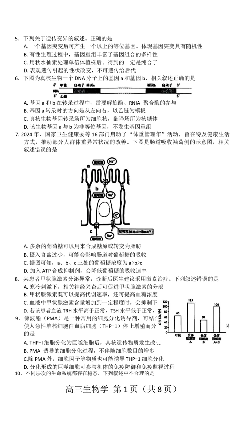 赤峰市2026届高三年级11&middot;20模拟考试生物试题（含答案）_251126内蒙古赤峰市2025-2026学年高三上学期第一次统一检测