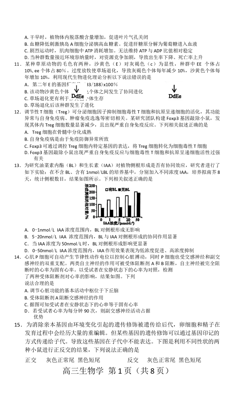 赤峰市2026届高三年级11&middot;20模拟考试生物试题（含答案）_251126内蒙古赤峰市2025-2026学年高三上学期第一次统一检测