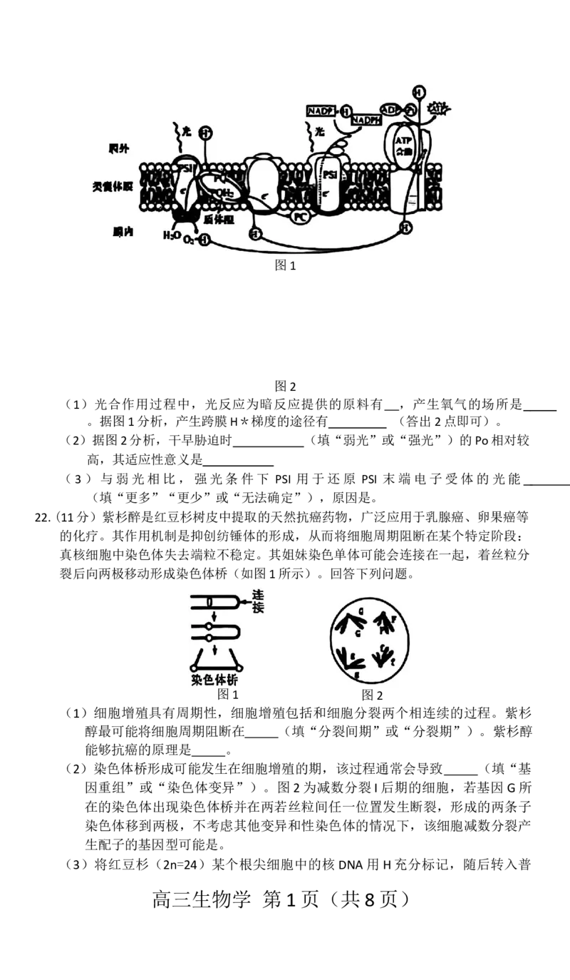 赤峰市2026届高三年级11&middot;20模拟考试生物试题（含答案）_251126内蒙古赤峰市2025-2026学年高三上学期第一次统一检测