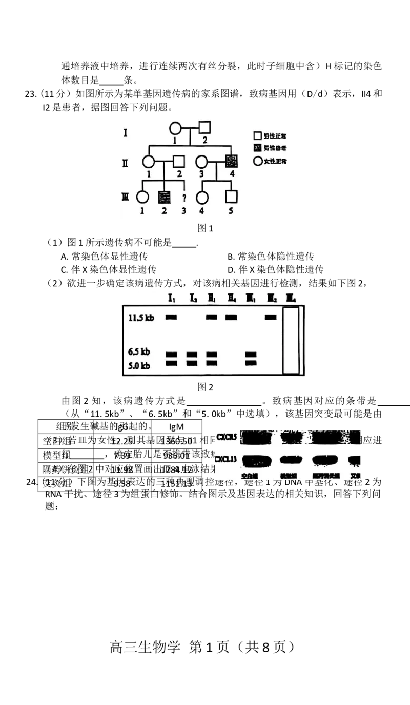 赤峰市2026届高三年级11&middot;20模拟考试生物试题（含答案）_251126内蒙古赤峰市2025-2026学年高三上学期第一次统一检测