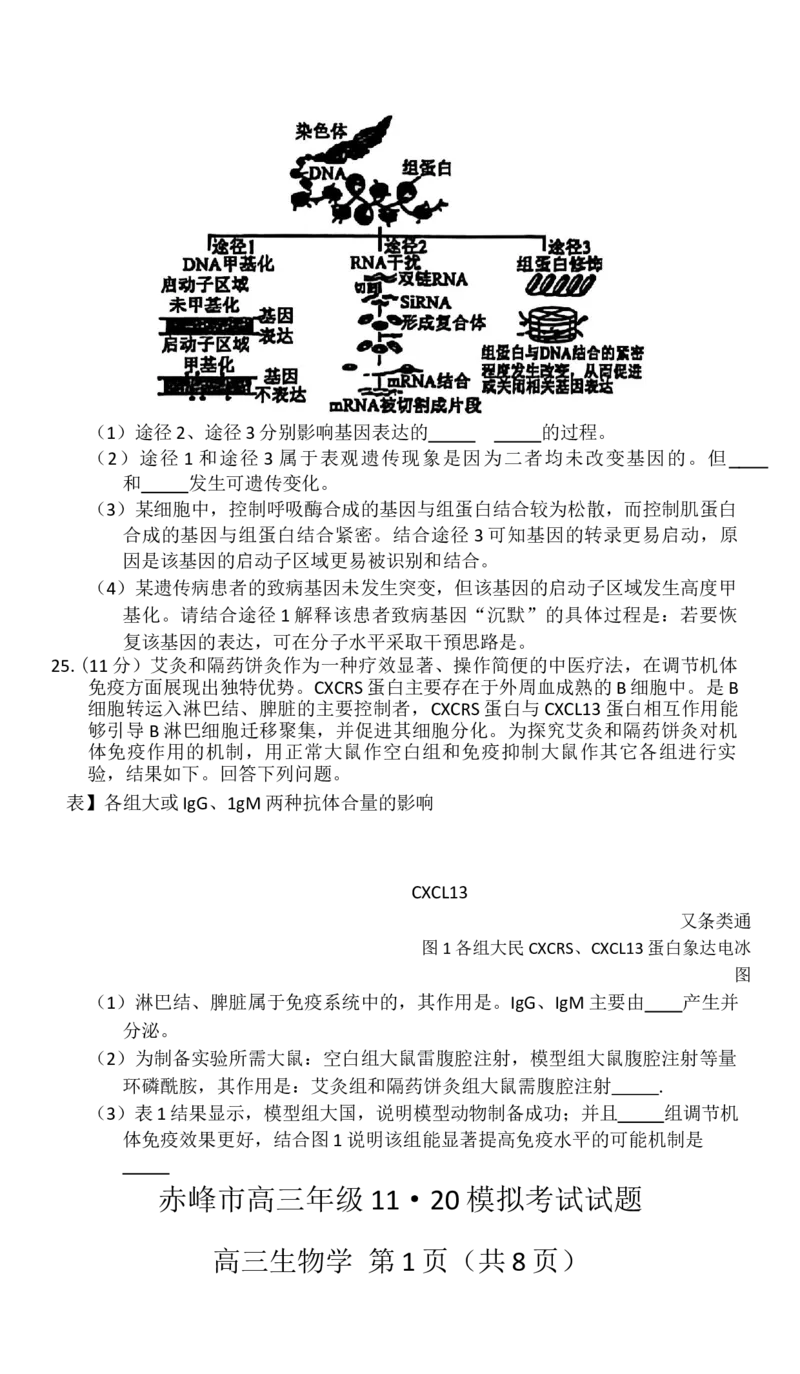赤峰市2026届高三年级11&middot;20模拟考试生物试题（含答案）_251126内蒙古赤峰市2025-2026学年高三上学期第一次统一检测