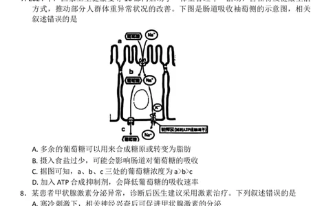 赤峰市2026届高三年级11&middot;20模拟考试生物试题（含答案）_251126内蒙古赤峰市2025-2026学年高三上学期第一次统一检测