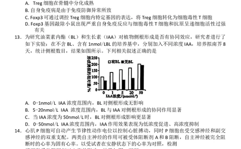 赤峰市2026届高三年级11&middot;20模拟考试生物试题（含答案）_251126内蒙古赤峰市2025-2026学年高三上学期第一次统一检测