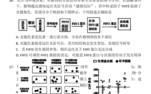 赤峰市2026届高三年级11&middot;20模拟考试生物试题（含答案）_251126内蒙古赤峰市2025-2026学年高三上学期第一次统一检测