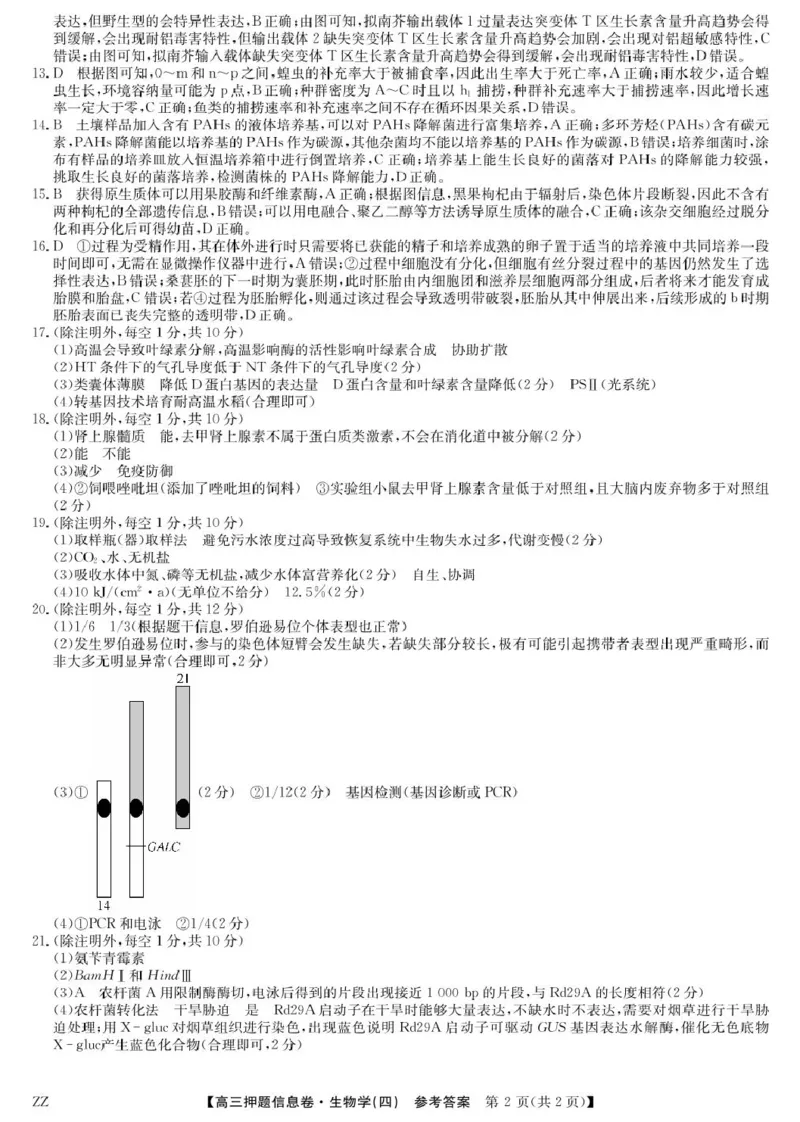 生物答案_2025年6月_250603九师联盟2025届高三押题信息卷（四）（全科）_九师联盟2025届高三押题信息卷（四）生物试卷