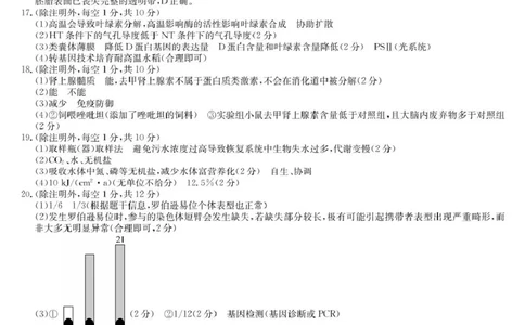 生物答案_2025年6月_250603九师联盟2025届高三押题信息卷（四）（全科）_九师联盟2025届高三押题信息卷（四）生物试卷
