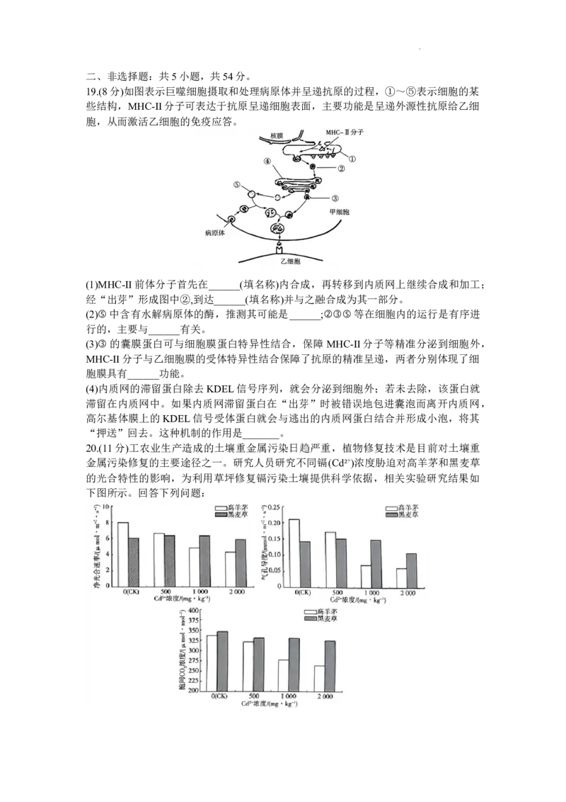 天一大联考2023-2024学年高三上学期冬季教学质量检测生物_2024届安徽省天一大联考高三上学期冬季教学质量检测_安徽省天一大联考2024届高三上学期冬季教学质量检测生物