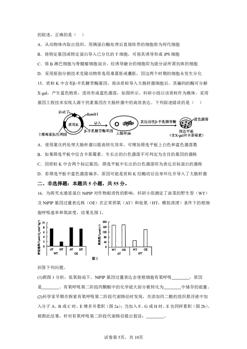 安徽2025年高考安徽生物高考真题文档版_1.高考2025全国各省真题+答案_00.2025各省市高考真题及答案（按省份分类）_10、安徽卷（9科全）_6.生物