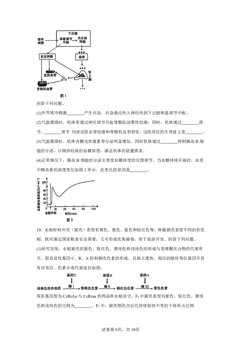 安徽2025年高考安徽生物高考真题文档版_1.高考2025全国各省真题+答案_00.2025各省市高考真题及答案（按省份分类）_10、安徽卷（9科全）_6.生物