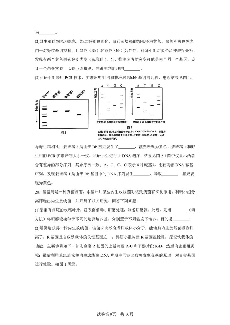 安徽2025年高考安徽生物高考真题文档版_1.高考2025全国各省真题+答案_00.2025各省市高考真题及答案（按省份分类）_10、安徽卷（9科全）_6.生物