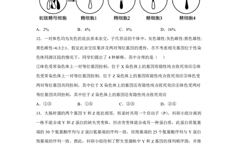 安徽2025年高考安徽生物高考真题文档版_1.高考2025全国各省真题+答案_00.2025各省市高考真题及答案（按省份分类）_10、安徽卷（9科全）_6.生物