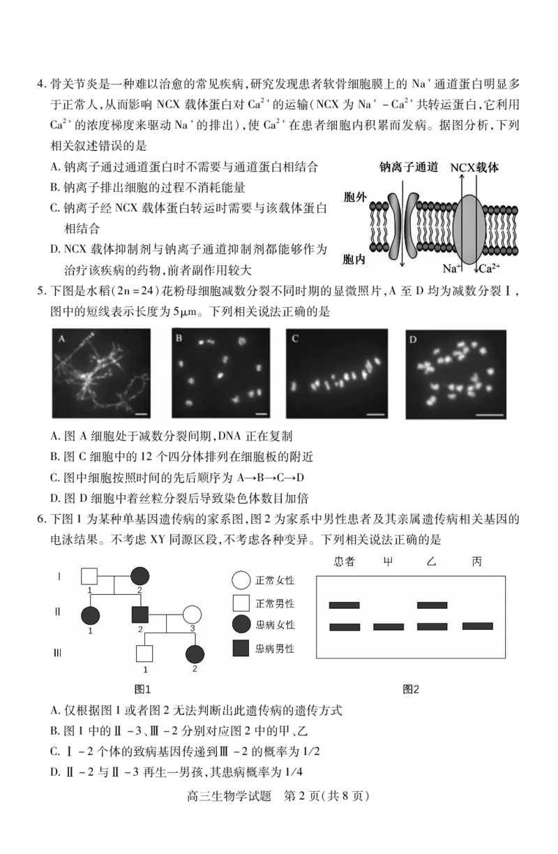 高三生物_251110山西省运城市2026第一学期期中调研测试_山西省运城市2026第一学期期中调研测试生物