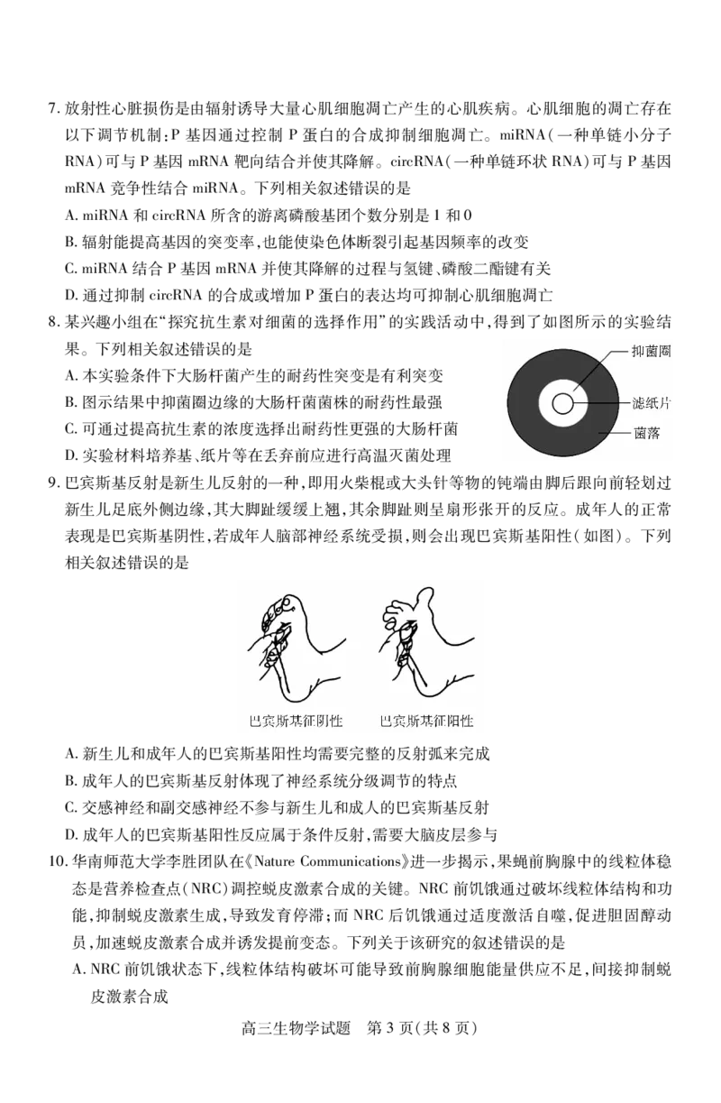 高三生物_251110山西省运城市2026第一学期期中调研测试_山西省运城市2026第一学期期中调研测试生物