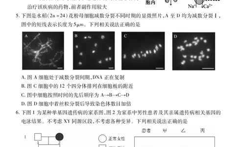 高三生物_251110山西省运城市2026第一学期期中调研测试_山西省运城市2026第一学期期中调研测试生物