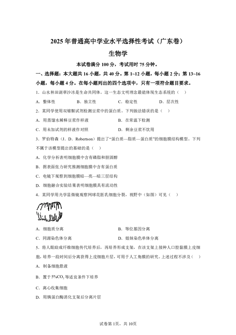 广东2025年高考广东卷生物高考真题文档版-A4答案卷尾_1.高考2025全国各省真题+答案_00.2025各省市高考真题及答案（按省份分类）_4、广东卷（9科全）_6.生物