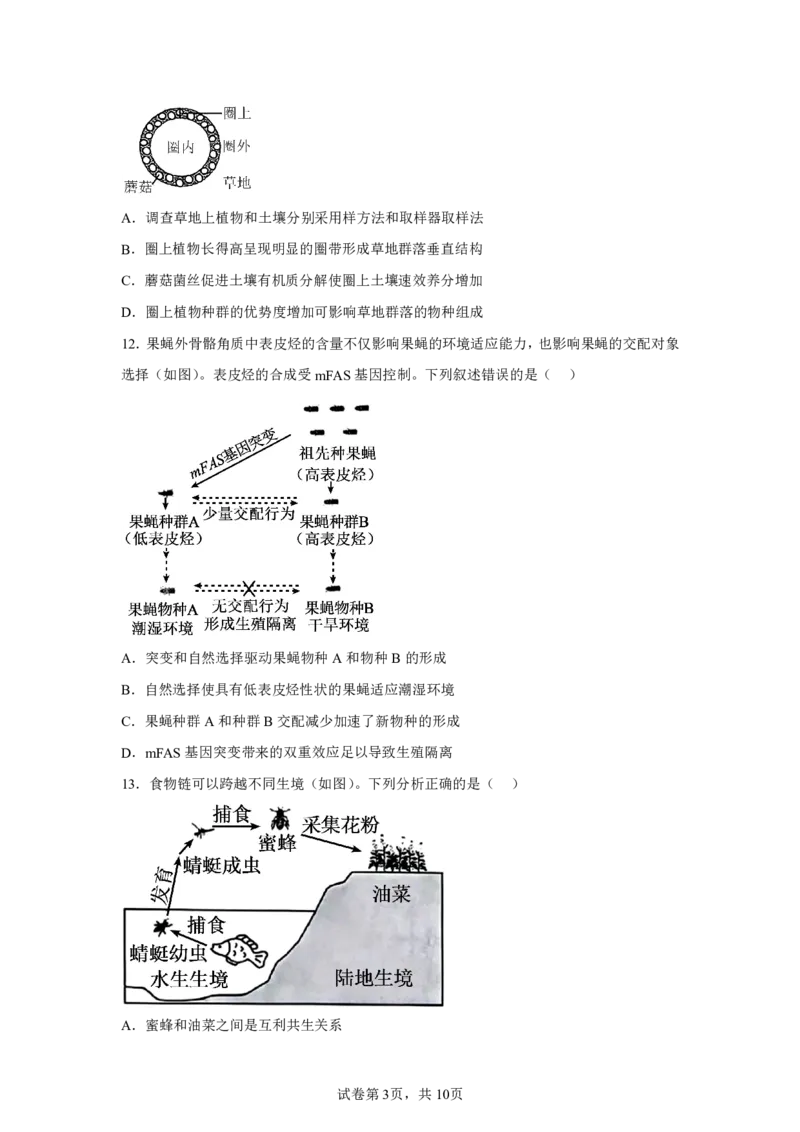 广东2025年高考广东卷生物高考真题文档版-A4答案卷尾_1.高考2025全国各省真题+答案_00.2025各省市高考真题及答案（按省份分类）_4、广东卷（9科全）_6.生物