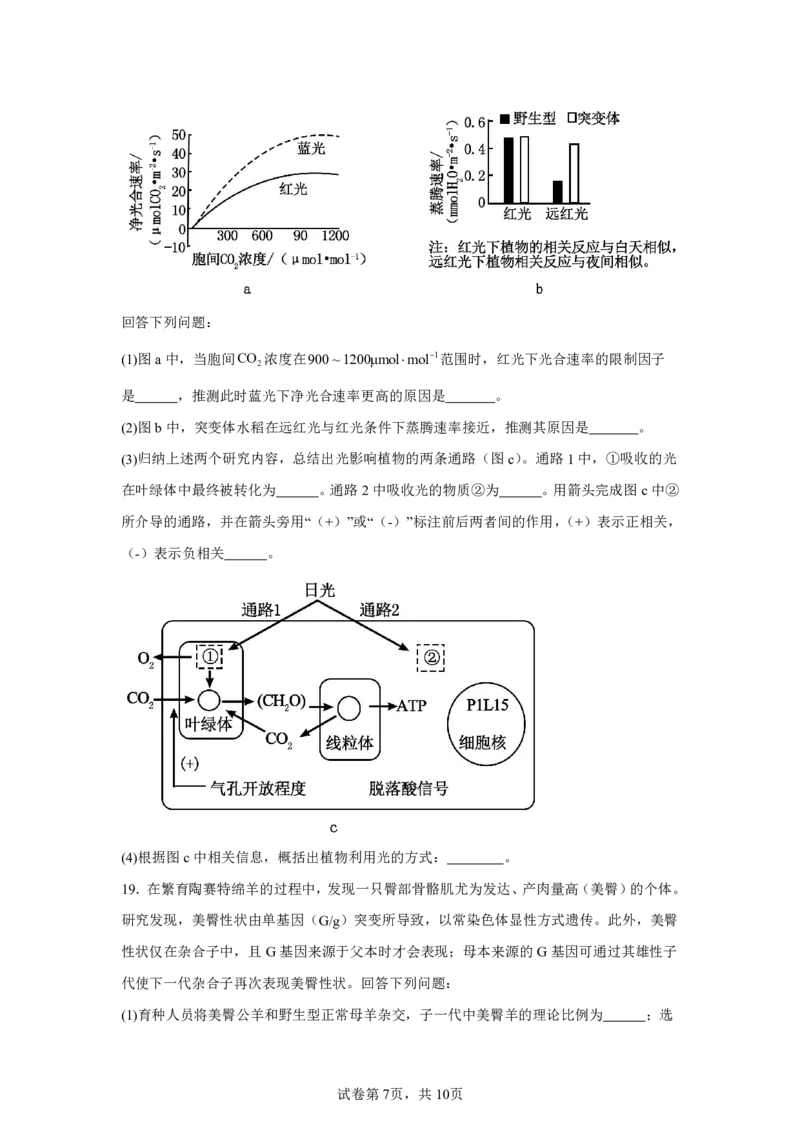 广东2025年高考广东卷生物高考真题文档版-A4答案卷尾_1.高考2025全国各省真题+答案_00.2025各省市高考真题及答案（按省份分类）_4、广东卷（9科全）_6.生物
