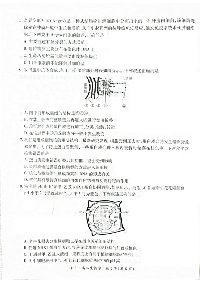 辽宁省重点高中联合体2024-2025学年下学期高二期末考试生物试卷（含答案）_2025年7月_250721辽宁省重点高中联合体2024-2025学年高二下学期期末考试（全科）