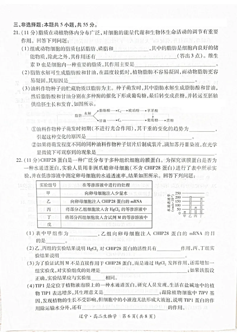 辽宁省重点高中联合体2024-2025学年下学期高二期末考试生物试卷（含答案）_2025年7月_250721辽宁省重点高中联合体2024-2025学年高二下学期期末考试（全科）