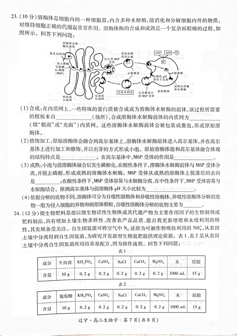 辽宁省重点高中联合体2024-2025学年下学期高二期末考试生物试卷（含答案）_2025年7月_250721辽宁省重点高中联合体2024-2025学年高二下学期期末考试（全科）