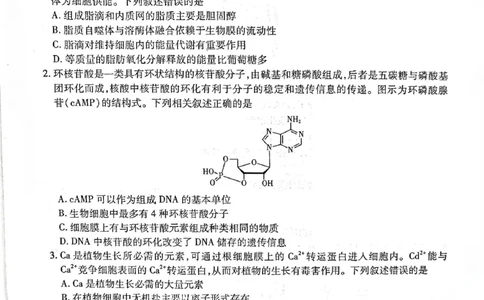 辽宁省重点高中联合体2024-2025学年下学期高二期末考试生物试卷（含答案）_2025年7月_250721辽宁省重点高中联合体2024-2025学年高二下学期期末考试（全科）