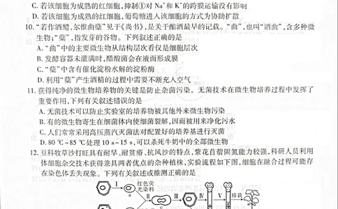 辽宁省重点高中联合体2024-2025学年下学期高二期末考试生物试卷（含答案）_2025年7月_250721辽宁省重点高中联合体2024-2025学年高二下学期期末考试（全科）