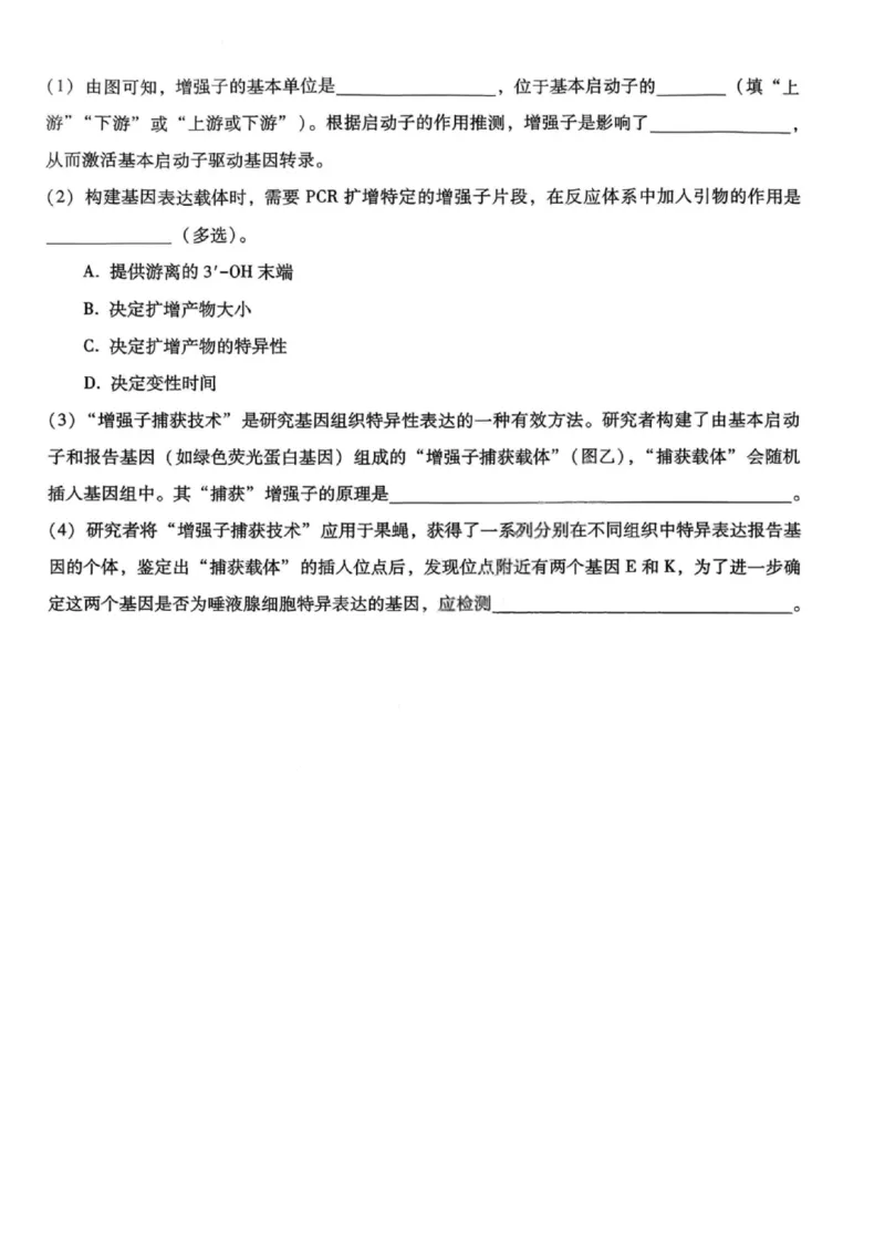 重庆巴蜀中学2026届高三10月高考适应性月考卷（三）生物_251101重庆市巴蜀中学2026届高三上学期10月月考（三）（全科）_重庆巴蜀中学2026届高三10月高考适应性月考卷（三）生物